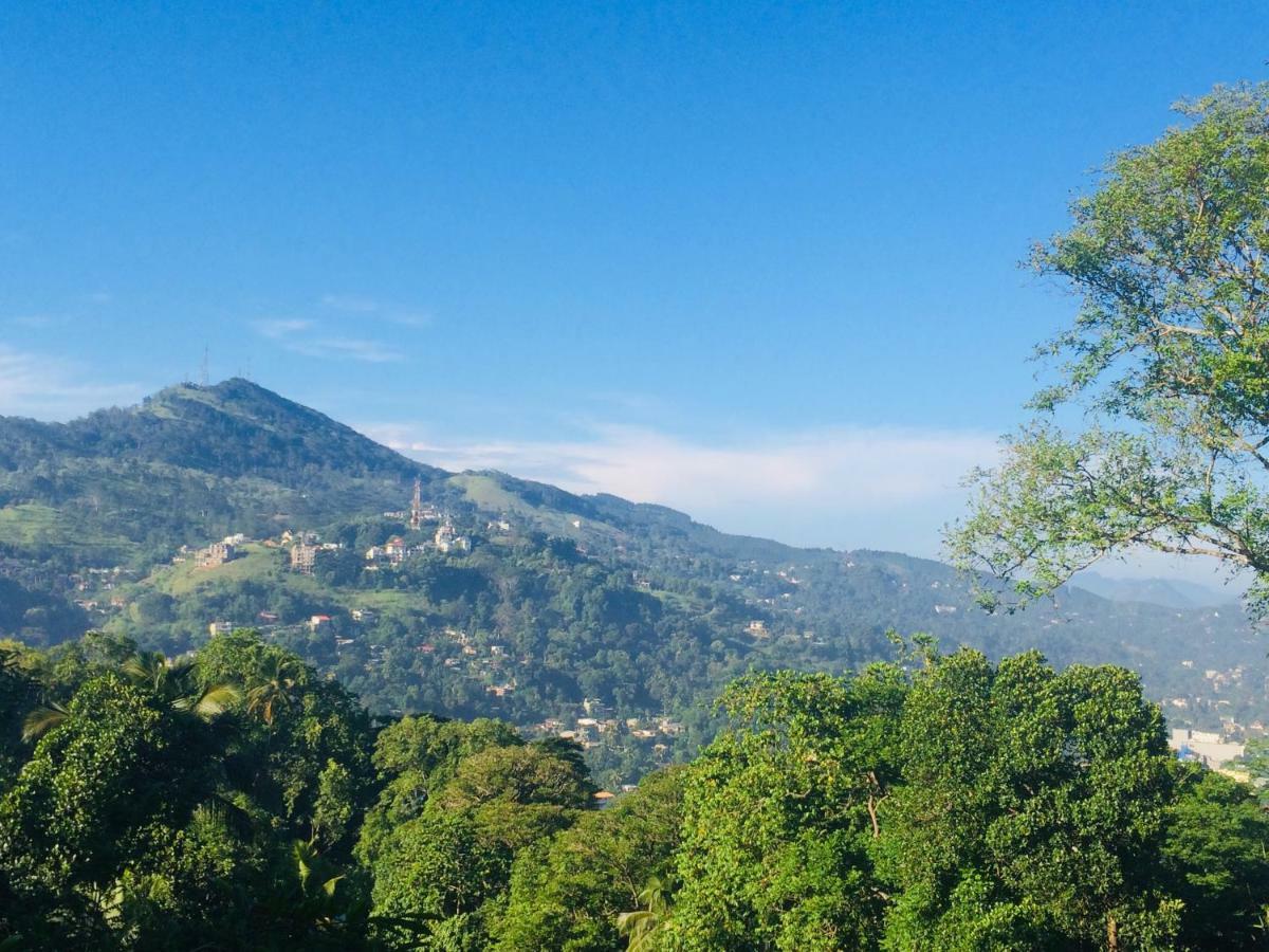 Selyna Sky Terrace Bed & Breakfast แคนดี้ ภายนอก รูปภาพ